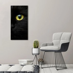 Print pe canvas Ochi de pisica