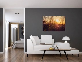 Tablou - Câmp la apus de soare (90x60 cm)