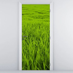 Fototapet pentru ușă - Iarba (95x205cm)