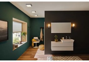 Paulmann 70648 - LED/11W Plafonieră ALBIA 230V