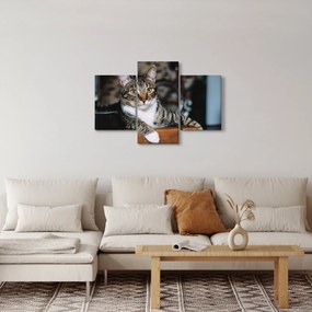 Tablou cu pisica (90x60 cm)