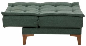 Fotoliu, Lemn de Fag, Santo, Verde