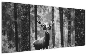 Tablou - Căprioare in pădure 2,alb-negru (120x50 cm)