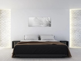 Tablou - Dandelion (120x50 cm)