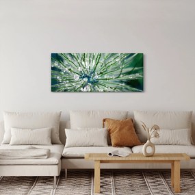 Tablou - Imagine macro a unei flori (120x50 cm)