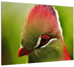 Tablou cu pasărea colorată (70x50 cm), în 40 de alte dimensiuni noi