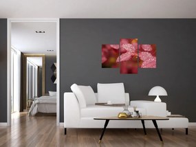 Tablou - Imagine macro a biletului (90x60 cm)