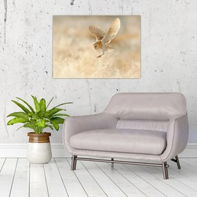 Tablou - Bufniță (70x50 cm)