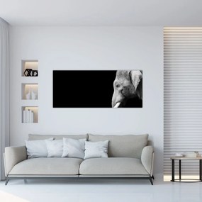 Tablou - Elefant (120x50 cm)