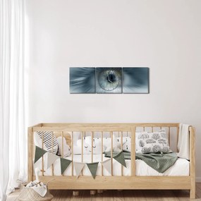 Tablou - Privirea ochiului (cu ceas) (90x30 cm)