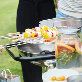 Barbecook BC-CHA-1005 Loewy 50 SST grătar cu cărbune din oțel inoxidabil, 51,5x56x99cm