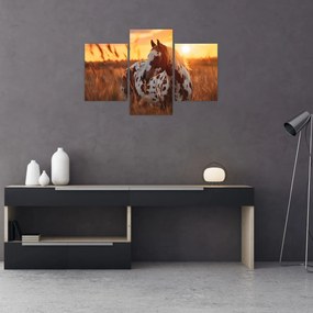 Tablou - Cal la Apus (90x60 cm)