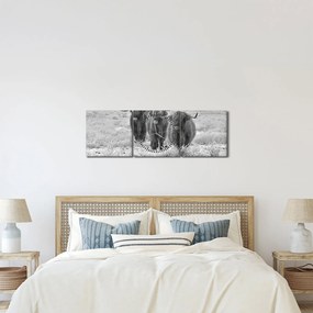 Tablou - Vaci scoțiene,alb-negru (cu ceas) (90x30 cm)