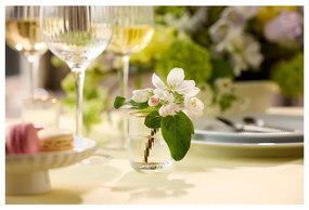 Set de pahare 4 buc. de shoturi 60 ml Palermo – Lyngby Glas