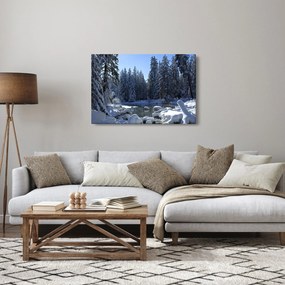 Tablou pădurii înzăpezite (90x60 cm)