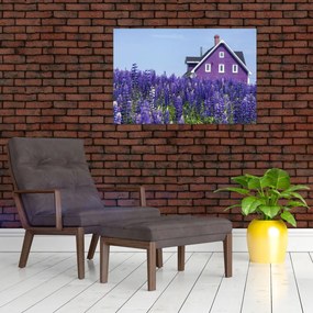 Tablou cu câmp de lavanda (90x60 cm)