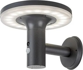 Aplica LED solara cu senzor iluminat exterior IP44 Alaska