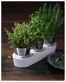 Set 3 ghivece metalice pentru ierburi aromatice WMF Gourmet