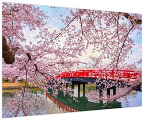 Tablou - Hirosaki, Japonia (90x60 cm)