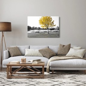 Tablou - relaxare în parc (90x60 cm)