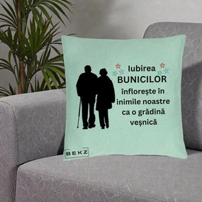 Cadou pentru Bunici - Perna Personalizata Bunicii Iubirea Infloreste Silueta Neagra Flori, 40x40 cm, Verde Menta, Husa Detasabila, Perna Inclusa, BEKZ®