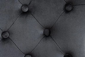 Set 2 scaune Stil Baroc, Catifea, Negru, CASTLE