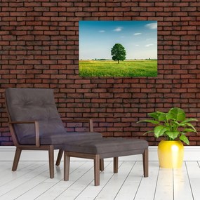 Tablou pe sticlă cu copaci pe luncă (70x50 cm)