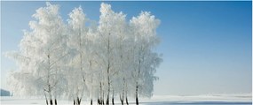 Tablou - Peisaj înzăpezit (120x50 cm)