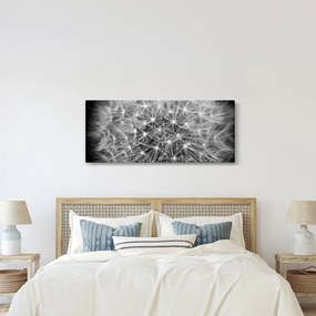Tablou păpădie gri (120x50 cm)