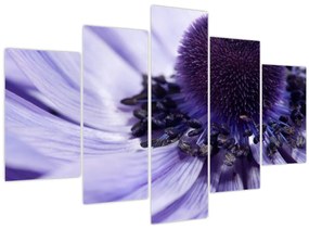 Tablou - Floare mov (150x105 cm)