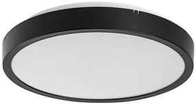 Plafoniera pentru baie, Protectie IP44 Alenzo D-30,5cm negru, alb