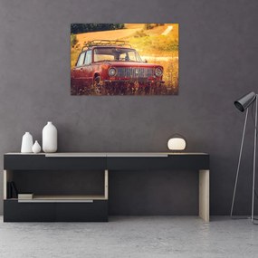 Tablou cu mașină în câmp (90x60 cm)