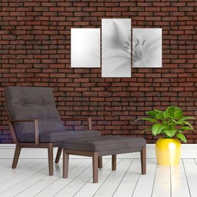 Tablou - Crin delicat (90x60 cm)