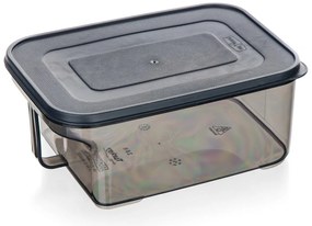 Banquet Cutie de depozitare cu mâner ZOYA 2,6 l,fumurie, 2,6 l