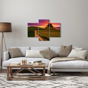 Tablou câmpului cu apus de soare (90x60 cm)