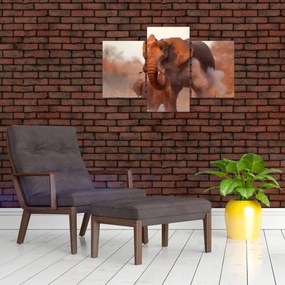 Tablou - Marele elefant african (90x60 cm)