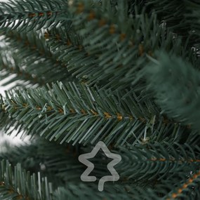 Molid Argintiu 220 cm