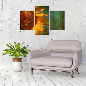 Tablou - Floarea soarelui (90x60 cm)