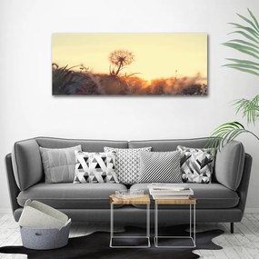 Tablou pe pânză canvas Păpădie