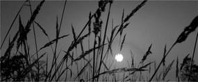 Tablou - Pajiște cu apus de soare (120x50 cm)