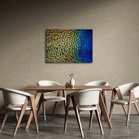 Tablou - Pene de păun (70x50 cm)
