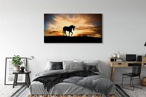 Tablouri canvas apus de soare Unicorn