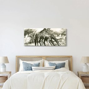 Tablou - Girafe, de epocă (120x50 cm)
