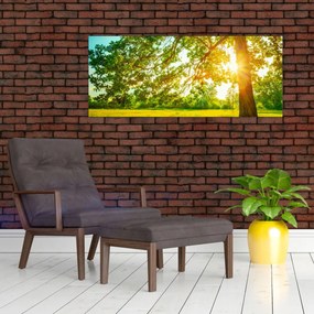 Tablou - Pădurea însorită (120x50 cm)