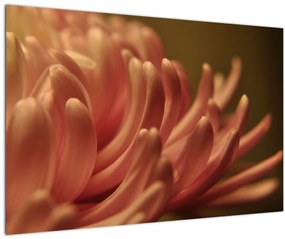 Tablou cu detailu florii (90x60 cm)