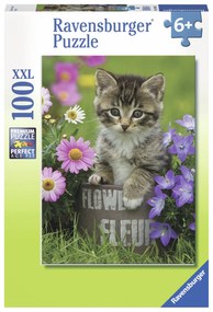 PUZZLE PISICUTA INTRE FLORI, 100 PIESE - RAVENSBURGER (RVSPC10847)