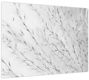 Tablou pe sticlă - Iarbă de pampas N⁰2 (70x50 cm)