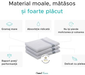 Prosop GREEK 50 x 90 cm alb, 100% bumbac