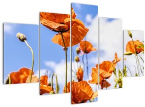 Tablou cu macii (150x105 cm)