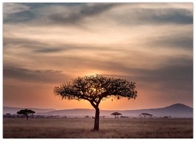 Tablou apusului de soare în Tanzania (70x50 cm)